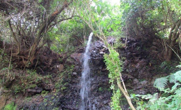 Corona comprometida con el cuidado del medio ambiente en su operación industrial