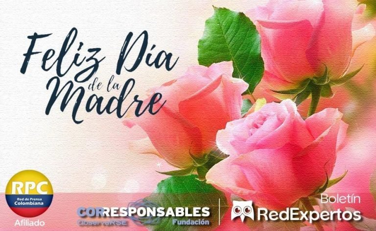 Yulder; RedExpertos