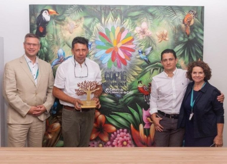 Yulder - RedExpertos