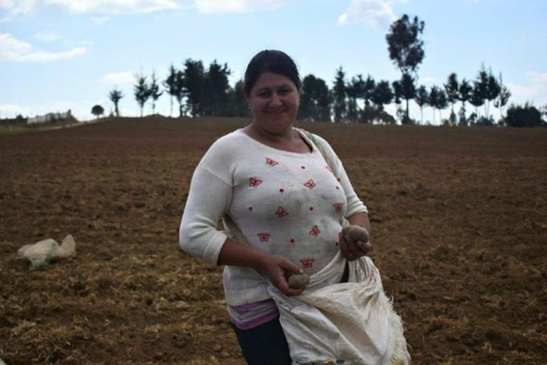 Yulder - RedExpertos