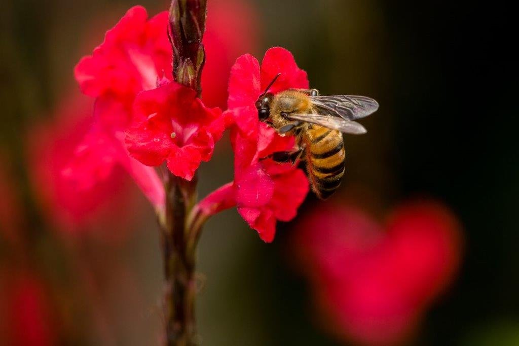 Yulder - RedExpertos