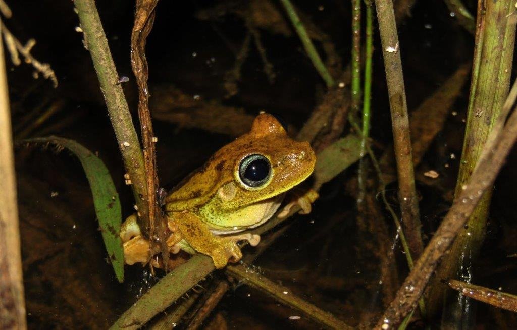 Yulder - RedExpertos