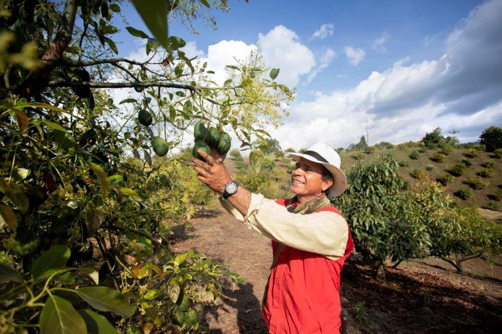 Yulder - RedExpertos