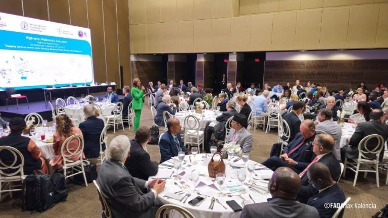 Yulder - RedExpertos