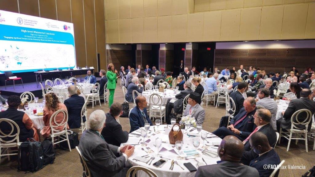 Yulder - RedExpertos