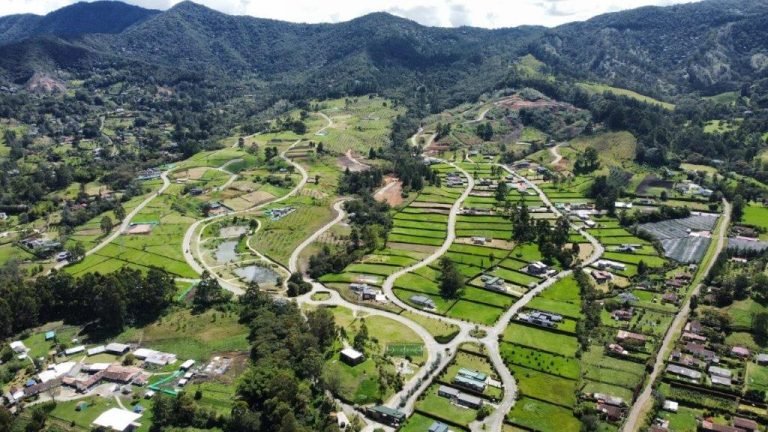 Yulder - RedExpertos