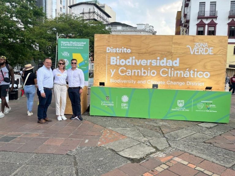 Yulder - RedExpertos