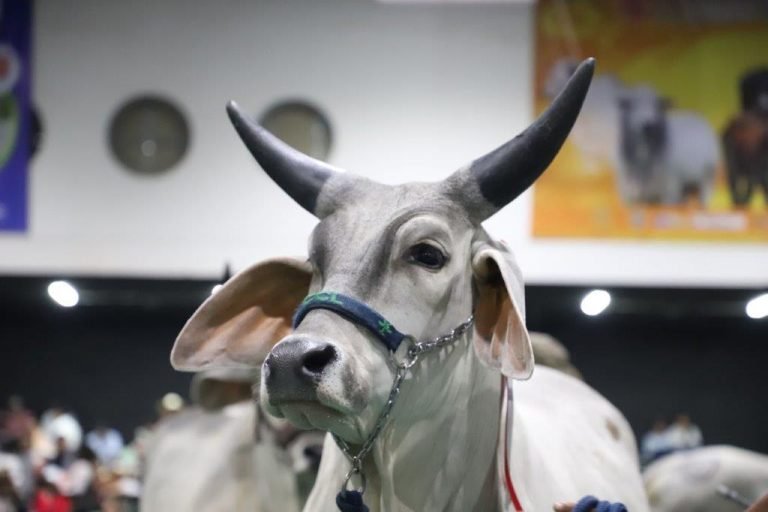 Yulder - RedExpertos