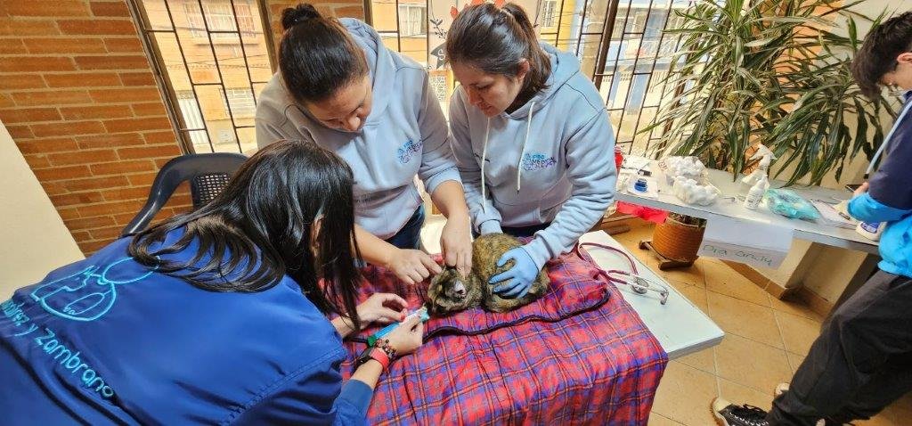 Yulder - RedExpertos