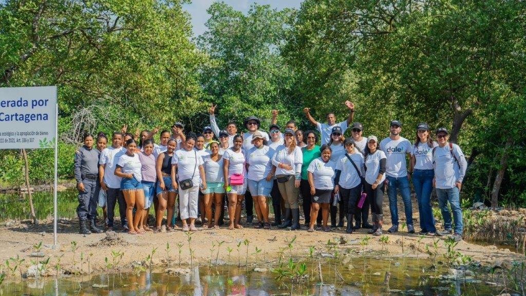 Yulder - RedExpertos