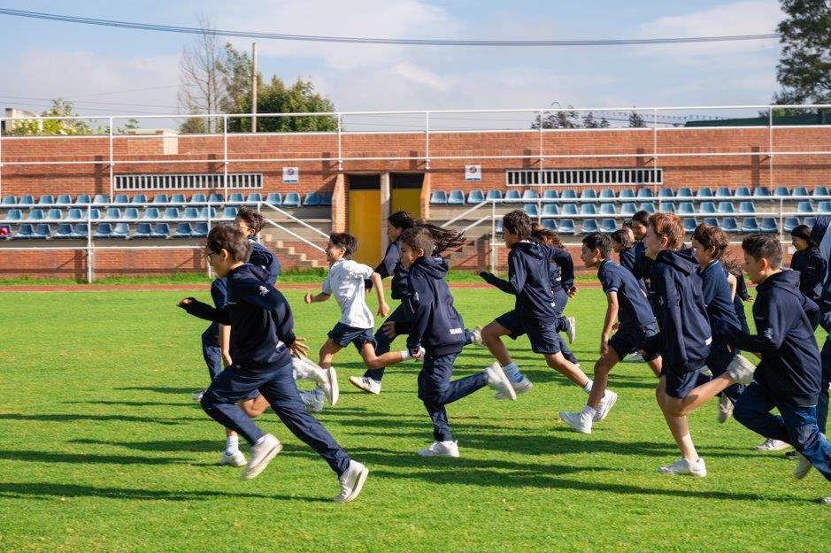 Yulder - RedExpertos