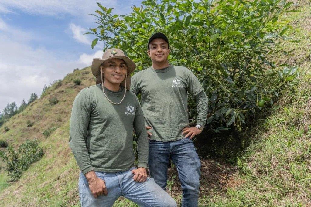 Yulder - RedExpertos