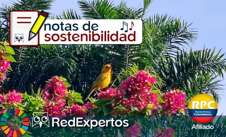 Yulder - RedExpertos