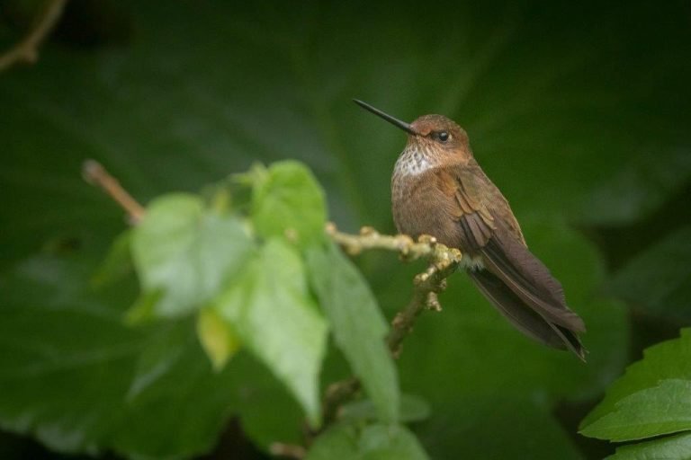 Yulder - RedExpertos