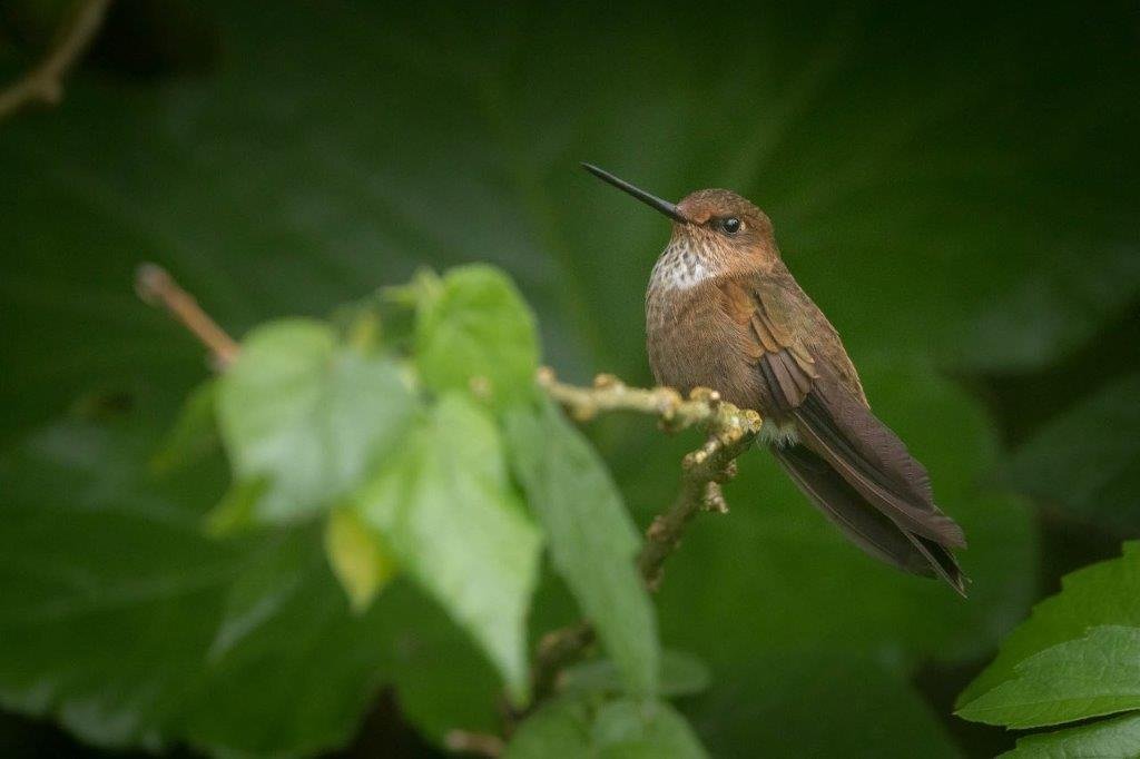 Yulder - RedExpertos