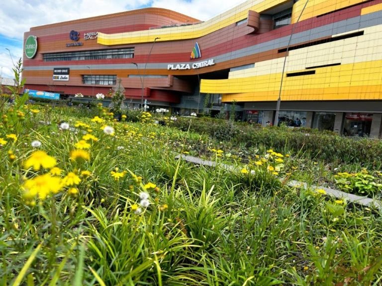 Yulder - RedExpertos