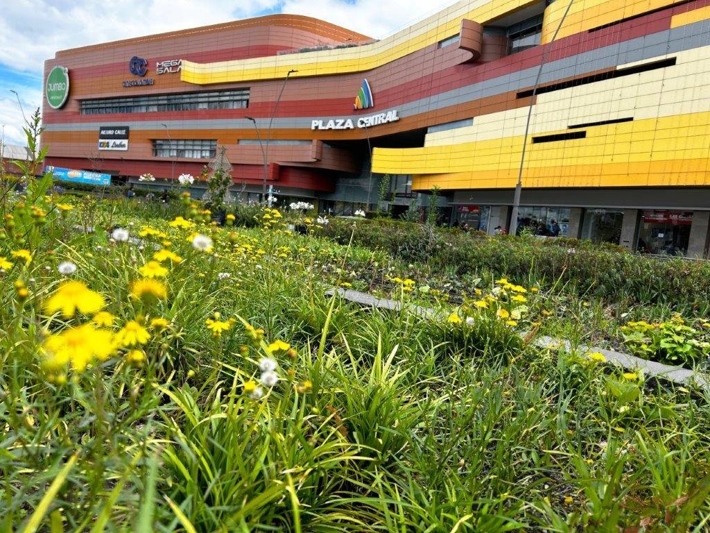 Yulder - RedExpertos