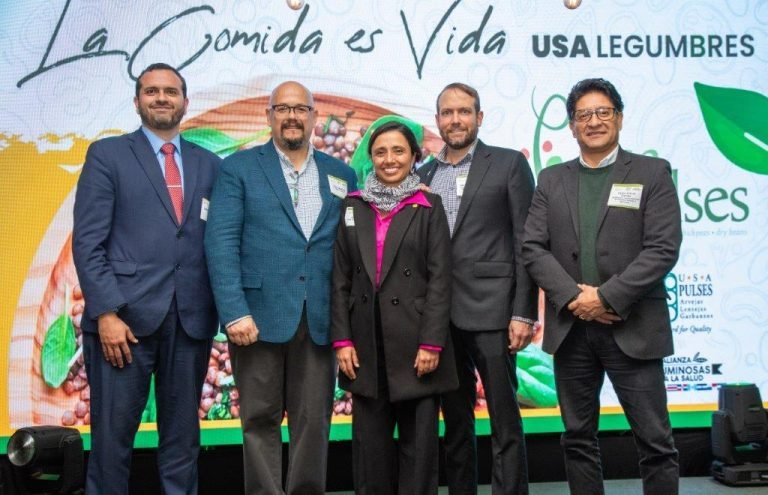 Yulder - RedExpertos