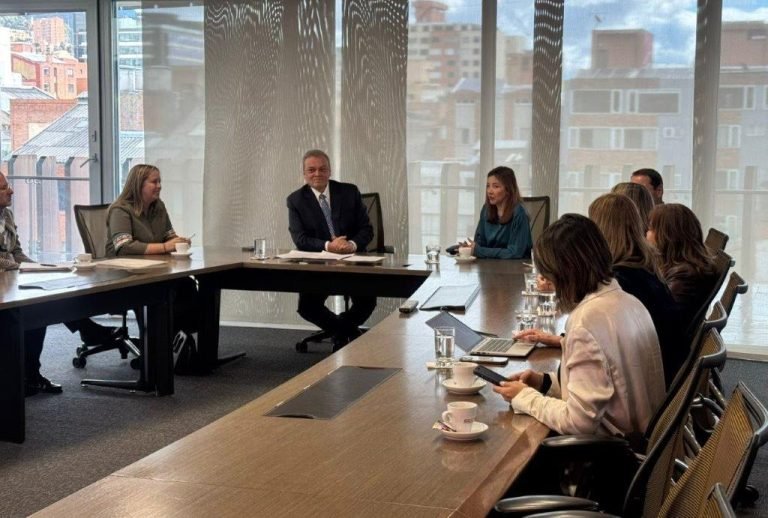 Yulder - RedExpertos