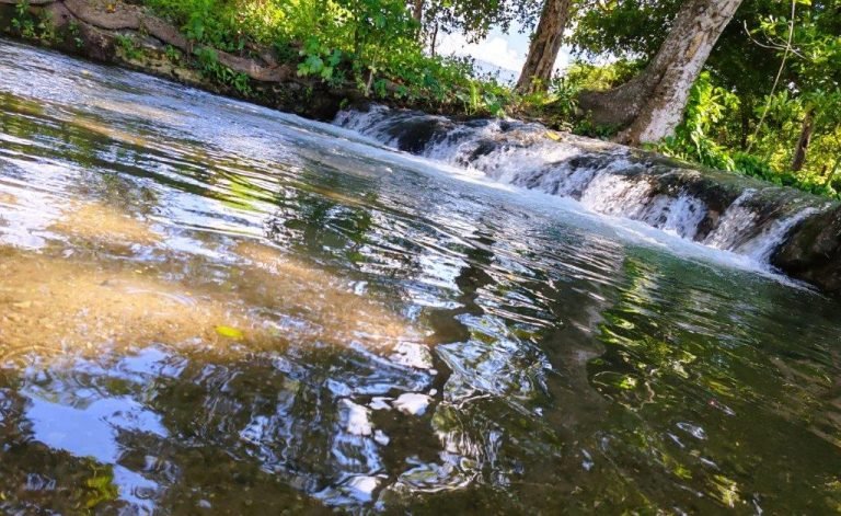 Yulder - RedExpertos