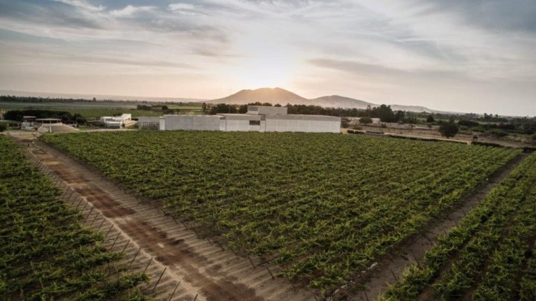 Yulder - RedExpertos