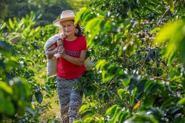 Yulder - RedExpertos