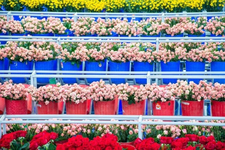 Yulder - RedExpertos