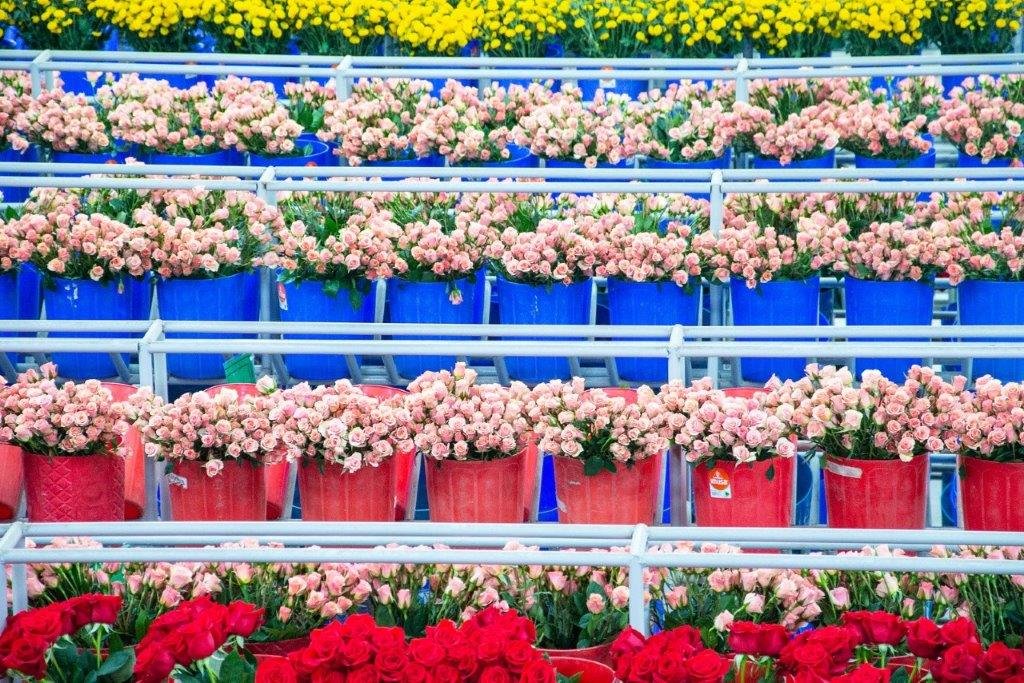 Yulder - RedExpertos