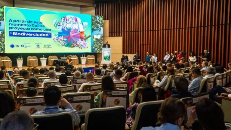 Yulder - RedExpertos