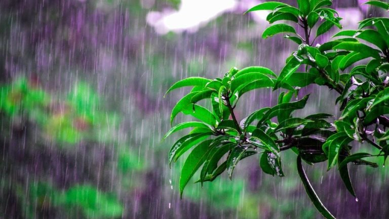 Yulder - RedExpertos