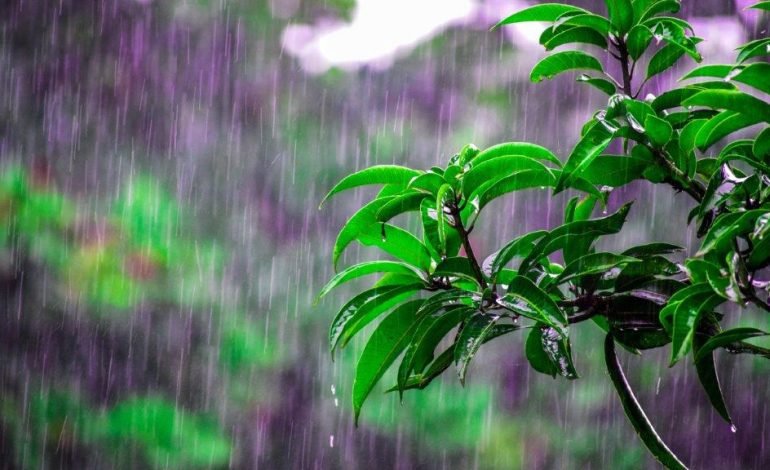 Yulder - RedExpertos