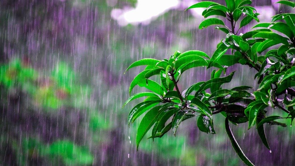 Yulder - RedExpertos