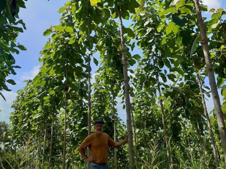 Yulder - RedExpertos