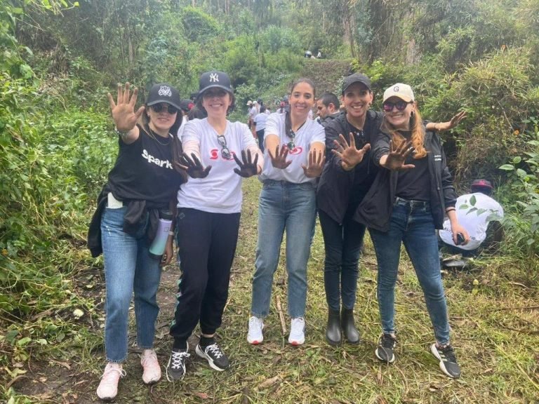 Yulder - RedExpertos