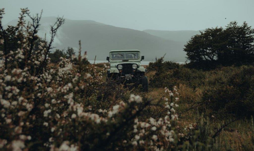 Yulder - RedExpertos