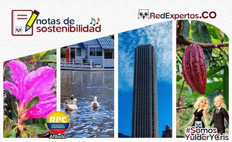 Notas de sostenibilidad, Boletín #299, RedExpertos